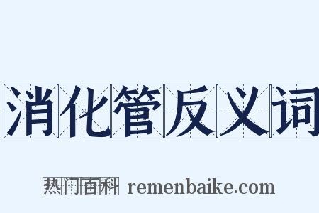 消化管反义词是什么意思的图片